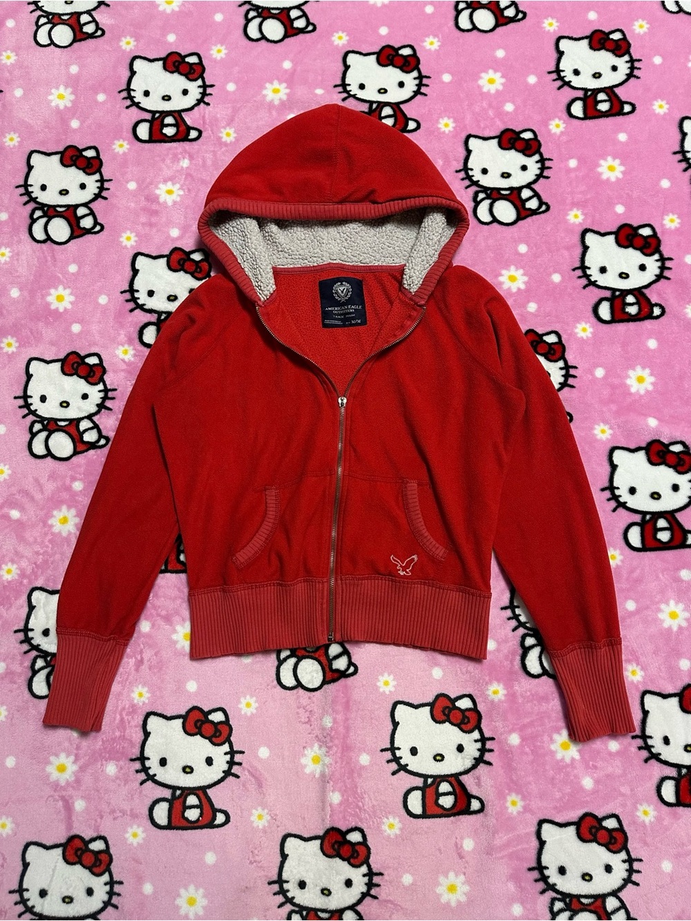 American Eagle Outfitters Red Sherpa-Lined Hood Fleece Hoodie